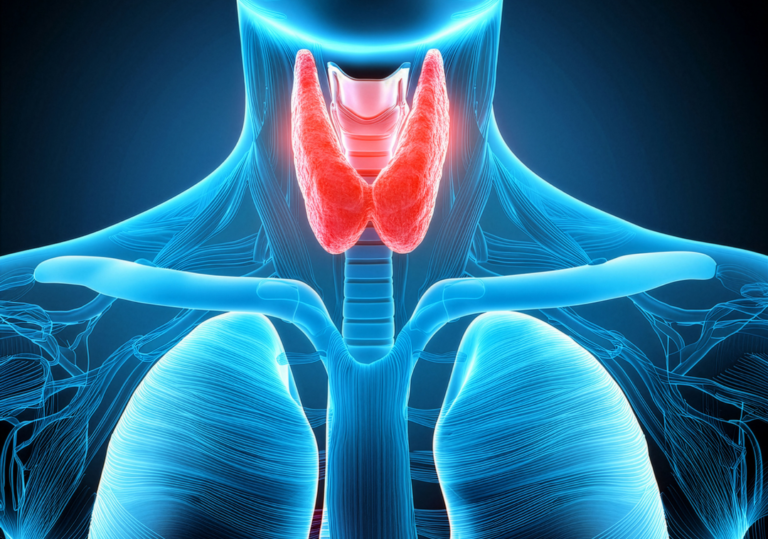 thyroïde